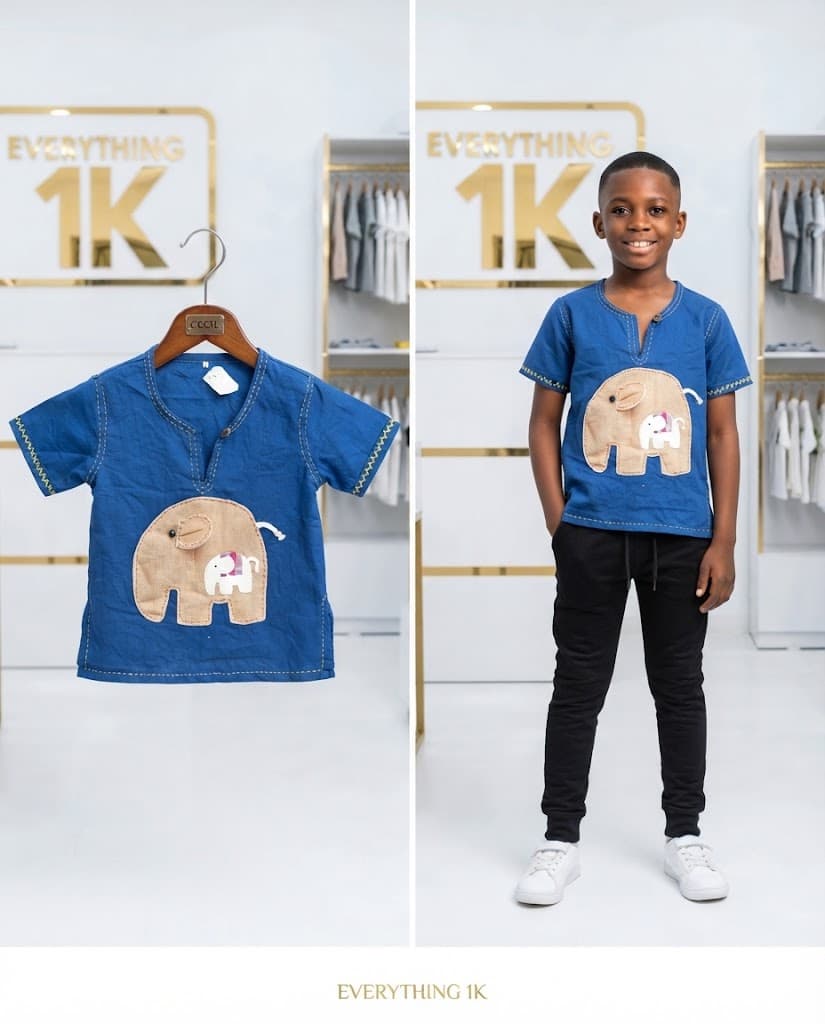 Boys Blue Elephant Appliqué Short-Sleeve Top (Ages 2-3)