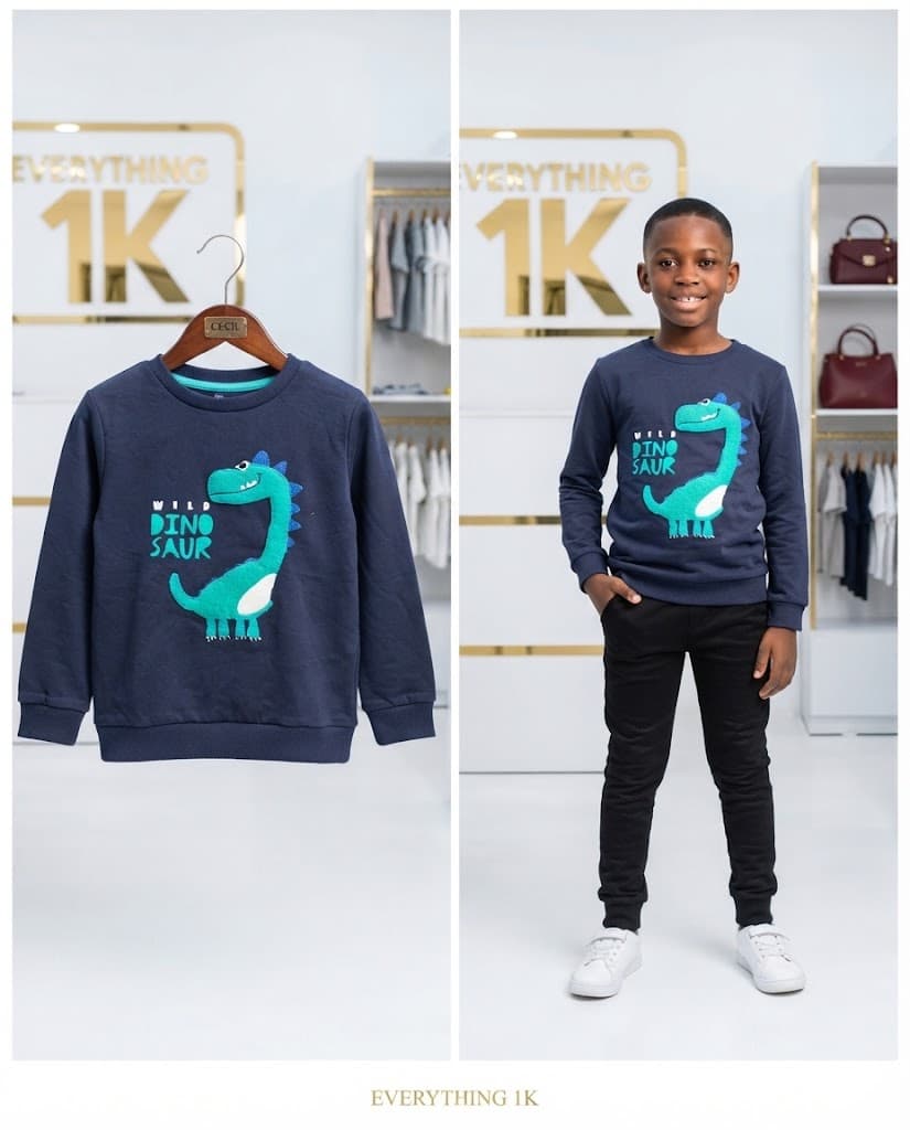 Navy Blue Wild Dinosaur Graphic Sweatshirt (Ages 3-4)